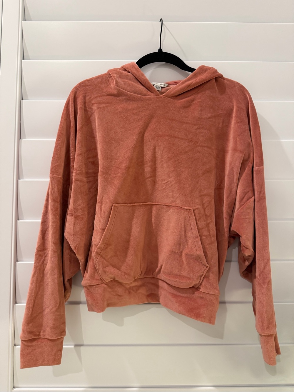 American Eagle Outfitters Coral Plush Hooded Sweatshirt